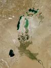 sample image 2010