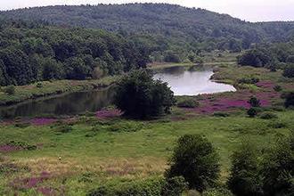 The Sudbury River flowing through a broad valley in summer.