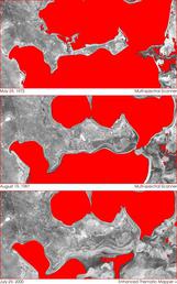 Aral Sea Screen Shot