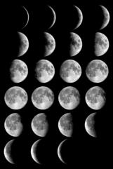 Moon Phases Image