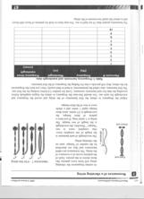 pg 2 of the lab