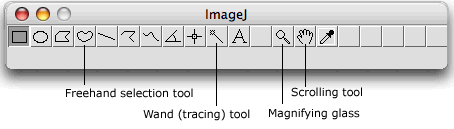 Selected ImageJ Tools