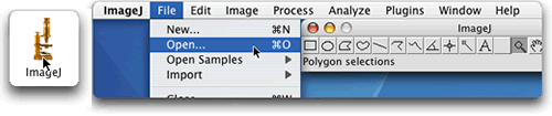Double-click the microscope choose File the Open...