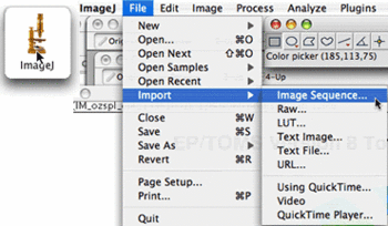 File>Import>ImageSequence...