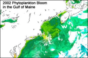 2002 Phytoplankton Bloom