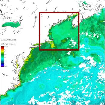 MODIS image of the Gulf of Maine taken on March 22 2003