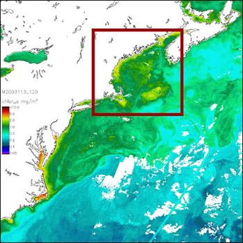 MODIS images of the Gulf of Maine on April 23 2003
