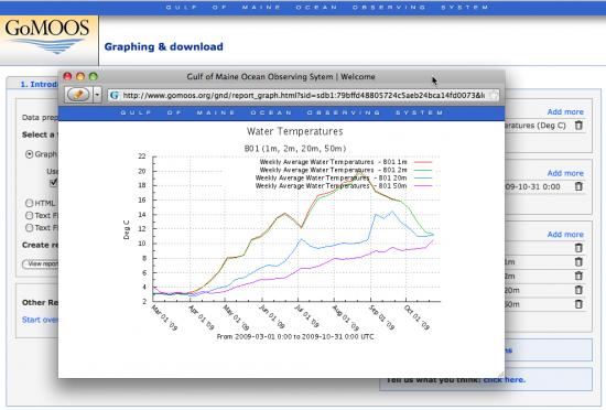 report generated