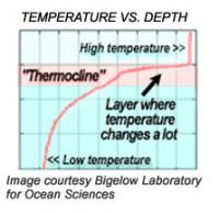 thermocline graph