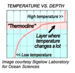 themocline graph