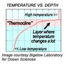 themocline graph