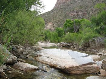 sabino_creek2