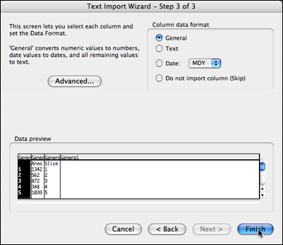 text import wizard 3