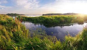 wetlands Moscow 