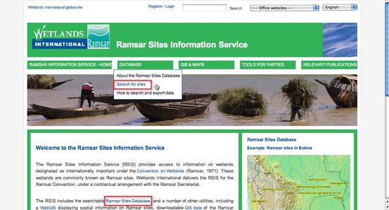 RSISMainSearch