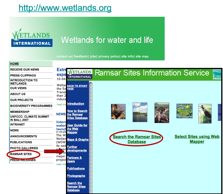 wetlands navigation to Ramsar database