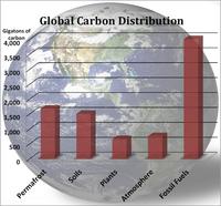 Global CaRBON DISTRIBUTION