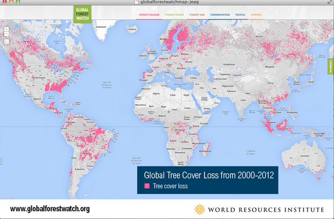 global-forest-watch-from-png