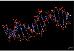 Short segment of DNA molecule