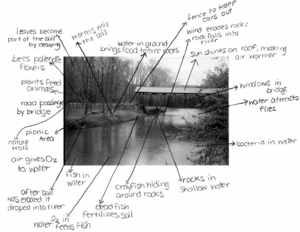 Annotated Photograph of Local Study Site