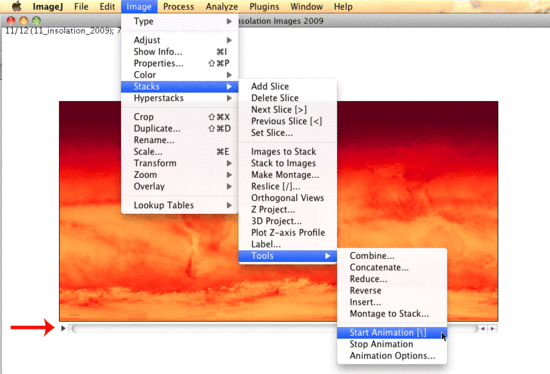 ImageJ Animation Controls