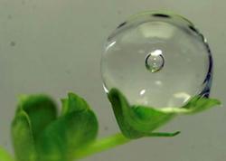 water droplet