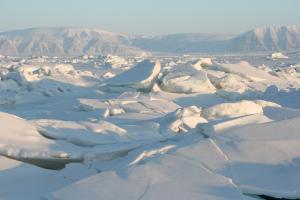 Sea Ice