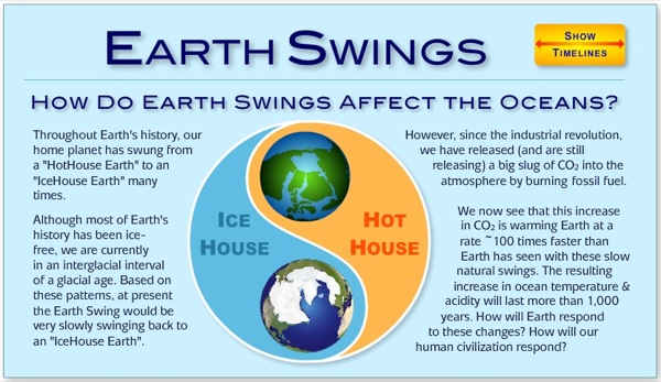 Earth Swings Home Page