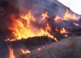grass fire