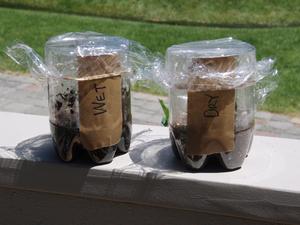 wet dry soil set up