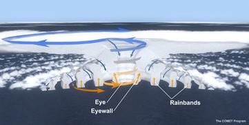 Structure of airflow around the eye of a hurricane
