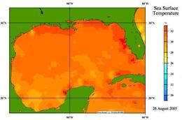 Sea Surface Temperature, Gulf of Mexico, 26 August, 2005