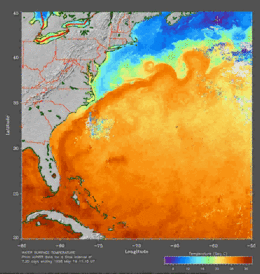 Visualization of the Gulf Stream Ocean Current