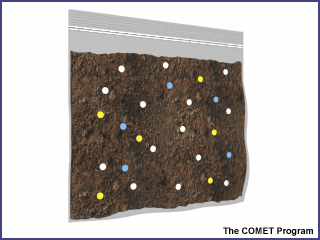 pollen bag