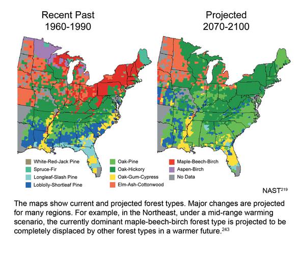 project changes in trees