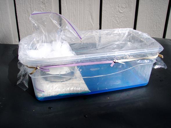 simple water cycle set up