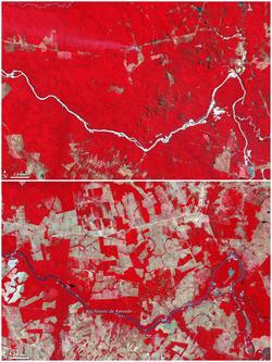 Deforestation in Brazil