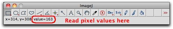 read_pixel_values