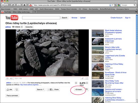 YouTube_Page_GE