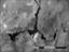 Lake Mead 2004 grayscale small, with scale bar