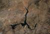 lake MEAD 250m