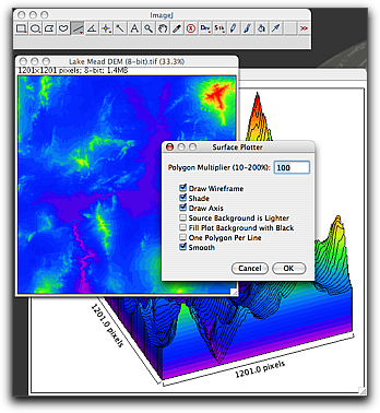 Surface Plot
