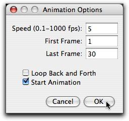 Animation Options Dialog Box