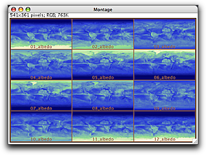 ImageJ Montage