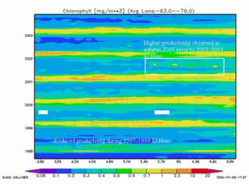 Giovanni Chlorophyll Map