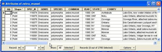 5212 ZebraMussel Table