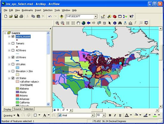 5231 Map Mussels NY05