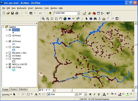 Tamarisk NDVI