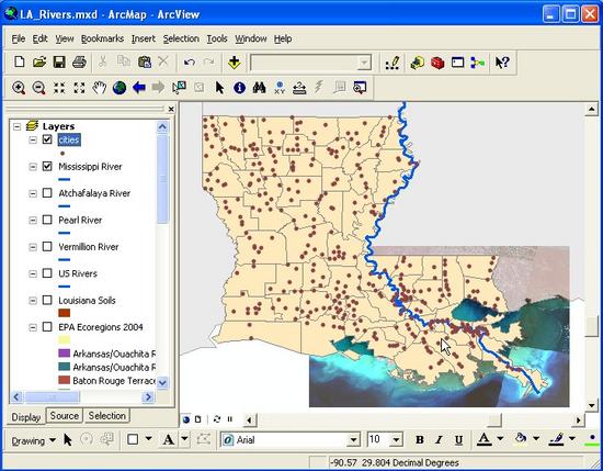 16 Louisiana brown dots