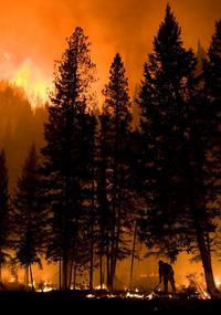 fire fighter on ground